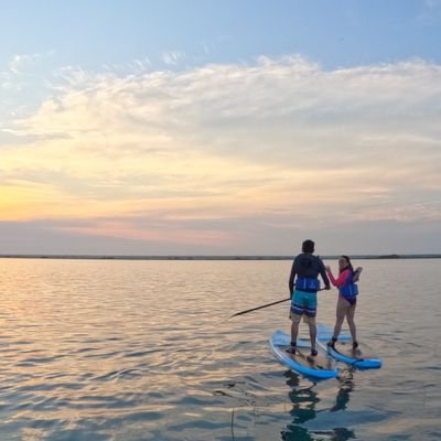 AlnDav's profile picture. gaming is rad,I'm a Passionate Human, Yu Gi Oh/ Gamer, FPS lover, games connaisseur. Sometimes I WRITE https://t.co/9VSfYWcpoh