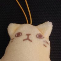 のんの (@nonno_468_283hz) 's Twitter Profile