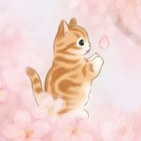 まりり🌸 (@yzqzvzmjzd7sepm) 's Twitter Profile