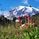 Ben Murdock - @Travel_Steals - Twitter