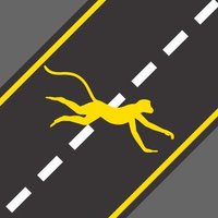 Global Primate Roadkill Database (@primateroadkill) 's Twitter Profile