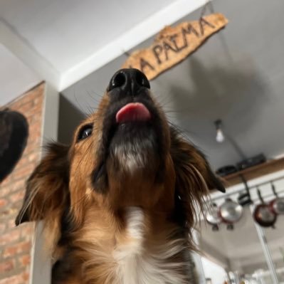 ivogale's profile picture. 🪁