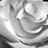 SoniaDaves's profile image