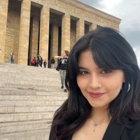 ipek (@ipekcayiroglu) Twitter profile photo