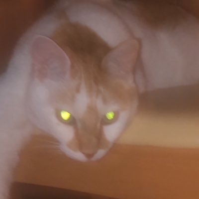 Kotosuke610's profile picture. メディア表現 音楽 DUSTCELL🖤🤍 @Nicochann610 (サブ垢)