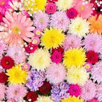 りっちゃん (@ritsumem_04win) 's Twitter Profile
