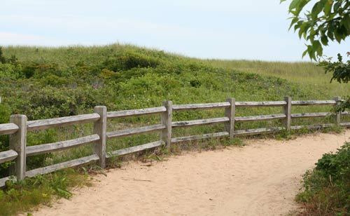 CapeCodMAco's profile picture. Love the Ocean, moved here 10 years ago and they'll have to drag me away.