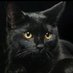 Desiree Rodriguez (@desiree01169067) Twitter profile photo Desiree Rodriguez (@desiree01169067) Twitter profile photo