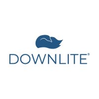 DOWNLITE(@DOWNLITE) 's Twitter Profile Photo