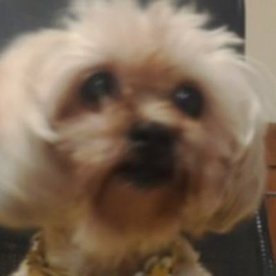 momo_crewmy's profile picture. 