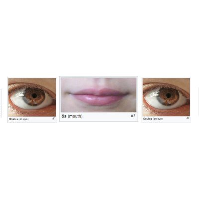 wiktionarygoofs's profile picture. 