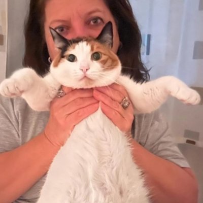 Serpilteketas's profile picture. 