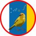 CanariasActualidad (@canariasactual_) Twitter profile photo CanariasActualidad (@canariasactual_) Twitter profile photo