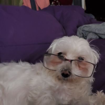 Randy77118170's profile picture. Catholic, Father, Husband..🇺🇸🇺🇸
   God Bless America.. MAGA..🇺🇸🇺🇸
    TRUMP is the only way. 🇺🇸🇺🇸