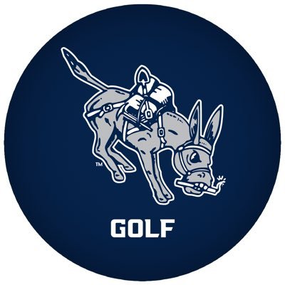 MinesGolf Profile