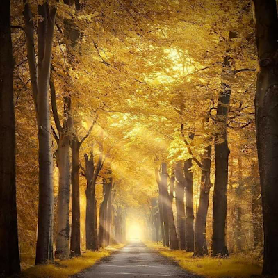 nourmo1991's profile picture. 