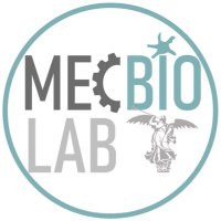 MECBIOLAB(@mecbiolab) 's Twitter Profile Photo