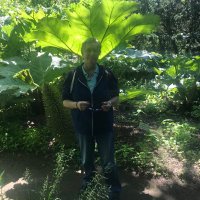 Heleen de Haan (@hmdhvb) 's Twitter Profile