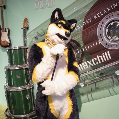 WolfClef's profile picture. It's Clef, the musical wolf! I like to play music you'd hear at a Costco with my guitar. 🔞 

👔: @AzFlip. 
📷: @VersusVerkis
🪧: @Flynxy