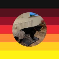 Rübennase(@echteRuebennase) 's Twitter Profile Photo