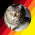 Katzitatzi (@hallolilly) Twitter profile photo Katzitatzi (@hallolilly) Twitter profile photo