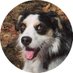 Chase Magnett (@chasemagnett) Twitter profile photo Chase Magnett (@chasemagnett) Twitter profile photo
