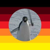 Pengu NDS π©πͺ (@nalbomber) 's Twitter Profile