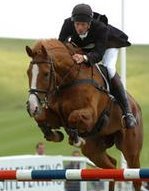 tome44035's profile picture. horses, hunter/jumper, dressage, eventing, scuba diving, sportbikes.