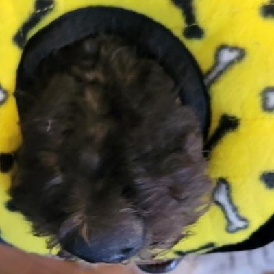 DepressedHorses's profile picture. very tired Cincy/NKY sports fan and band dork.