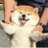 Shi_iriii_'s profile image