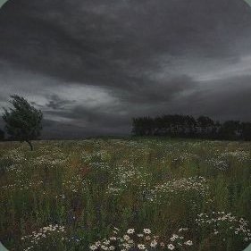 DielDielz's profile picture. Staff umum, muka angkutan umum.