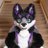 KaishiFox's profile image