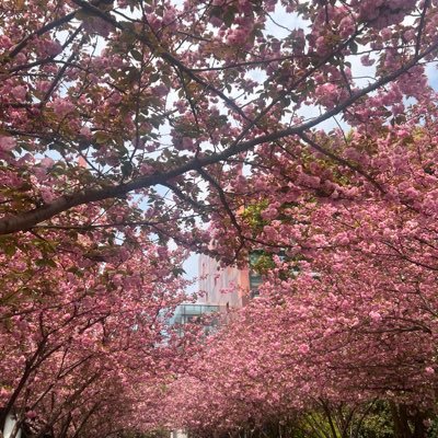 TVDBxYwIdrv4Bxe's profile picture. 