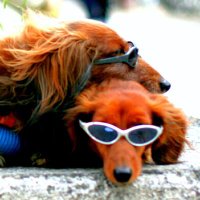 岩本 美樹 (Yoshiki Iwamoto) (@mikikun0910) 's Twitter Profile