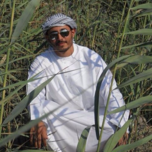 sherdy1's profile picture. 