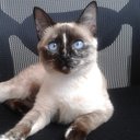 Beatriz Wagner - @wag96207 - Twitter