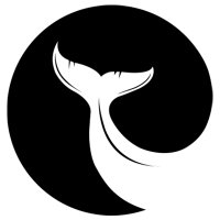 Whale Ventures (@whaleventures1) 's Twitter Profile