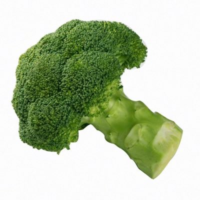 音ゲ好き