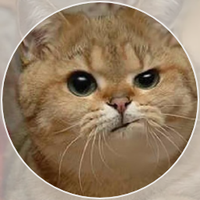 Piece of My Mind (@be_kind2others) 's Twitter Profile Photo