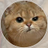 Be_Kind2Others's profile image