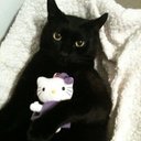 Violet Pruitt - @violetttt_0 - Twitter