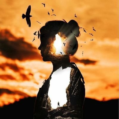 MbMiral's profile picture. 