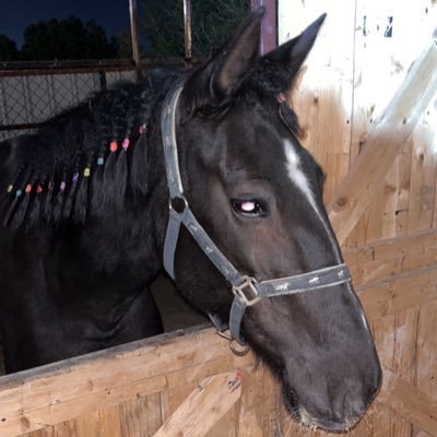 BB696969B's profile picture. 😕