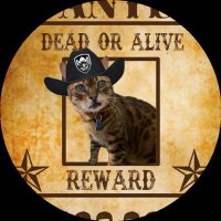 Leo loves Pi #TeamFrank Archie (@leothebengal) 's Twitter Profile Photo