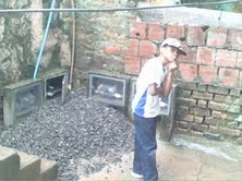 Xxvini456gatoXx's profile picture. 