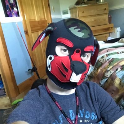 Gay Pup, from Vermont USA, 30 yrs old, Scorpio. Son of @PupNitr0