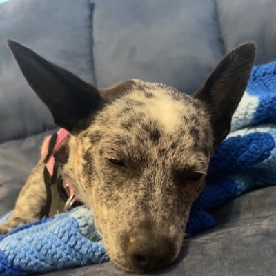 CarlWil24594826's profile picture. 