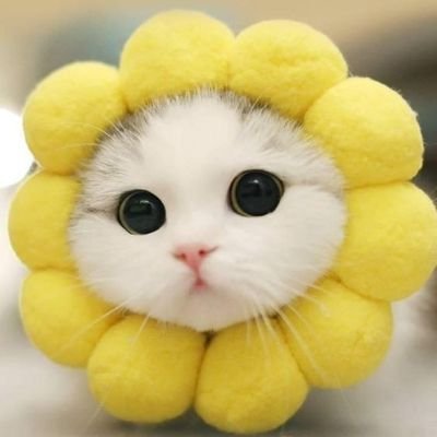 Thanks_YOUZ's profile picture. 