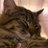 herofelicia's profile image