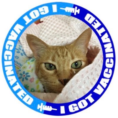 西日本の片隅で生きる緩いQリアタイ75年組🐈時々ポケGO🗾アイコンはQUEENを歌うオカメインコMAYちゃんの飼主kuromamacyanさんに作って頂きました☺たまに鍵垢🗝投資系エロ系、即ブロックします